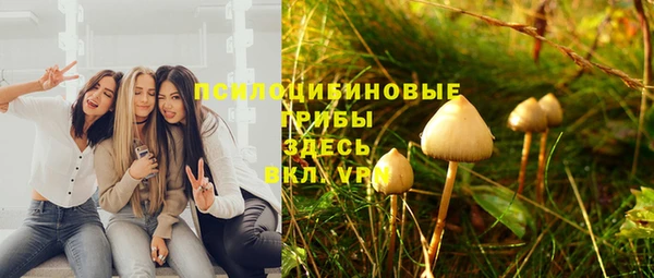 бутират Медвежьегорск