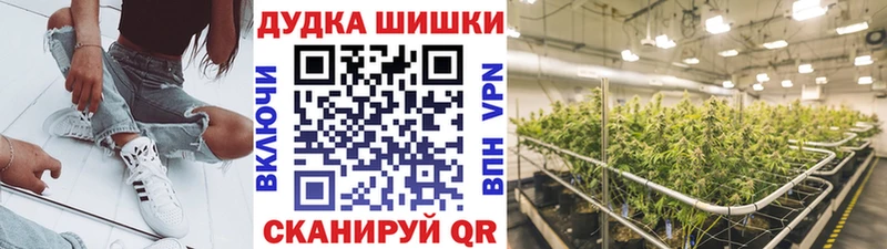 Каннабис OG Kush  купить   Правдинск 